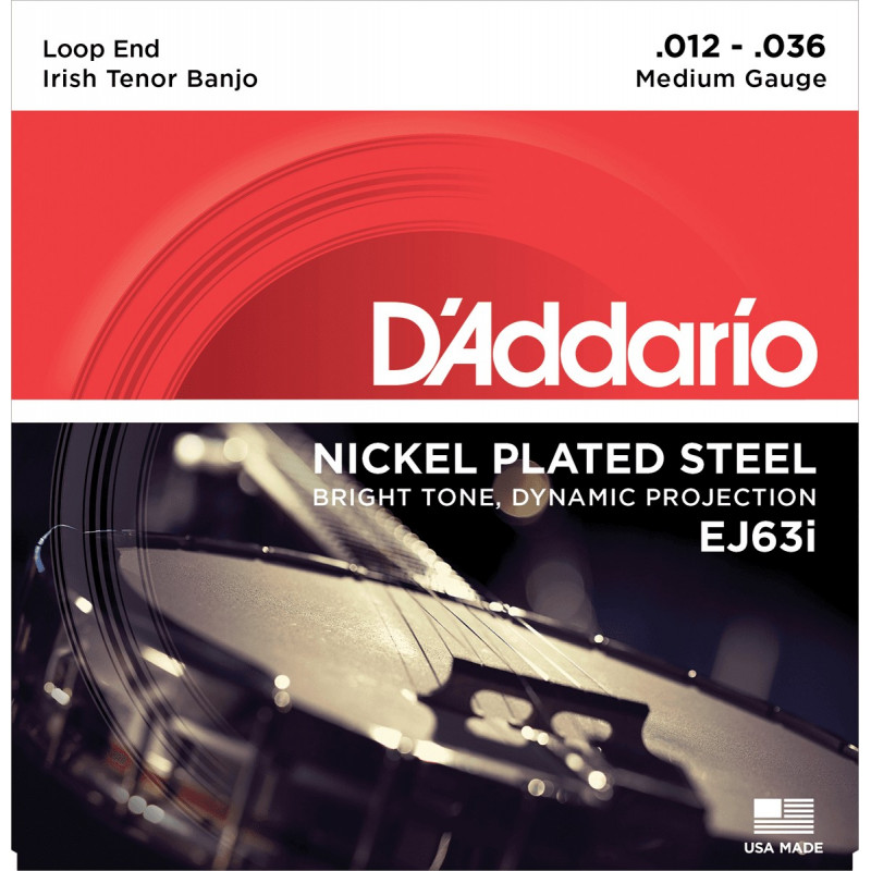 Nickel Plated Steel EJ63i pour Banjo tenor irlandais